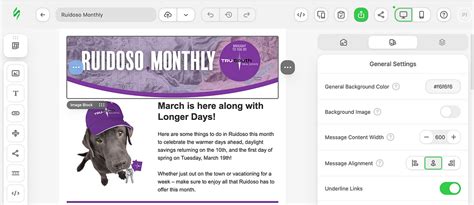 HTML Email Generator 的图像结果