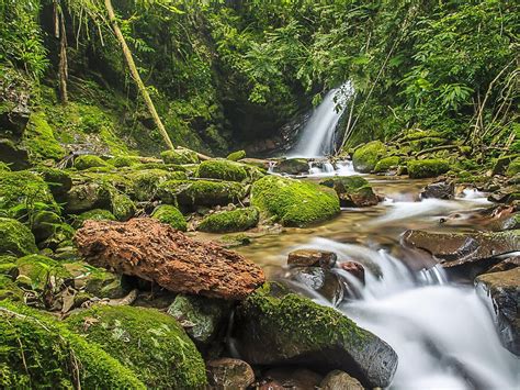 THE 30 BEST Places to Visit in Blumenau (2026)