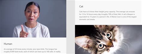 UIKit Tutorial 的图像结果