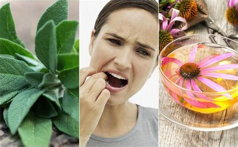 natural remedies gum disease