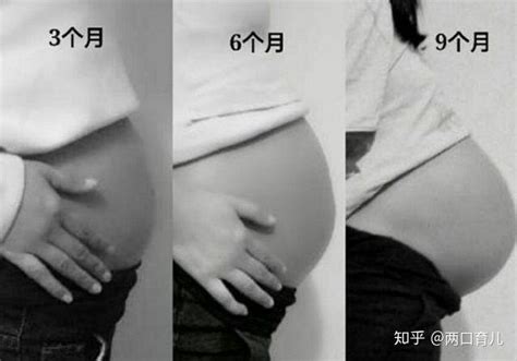 6-36个月宝宝每月辅食性状演变，不同月龄吃法不同，新手父母收藏 - 知乎