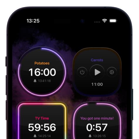 Image result for Multiple Timers Software