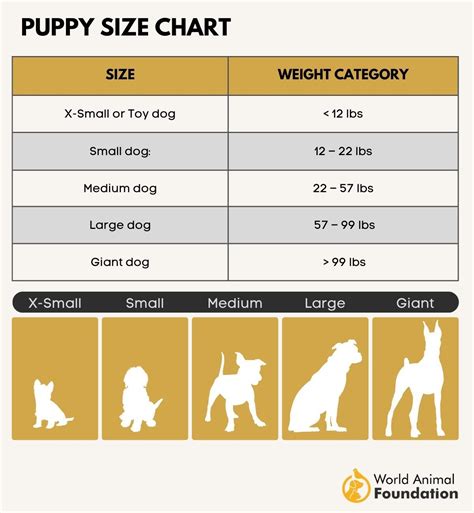 Puppy Weight Calculator - How Big Will My Dog Get?