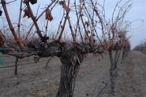 December | 2009 | Full Pull Wines Offer Archive