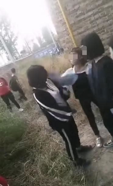 网传清苑一女中学生遭3名女生围殴掴掌，官方通报来了_张村