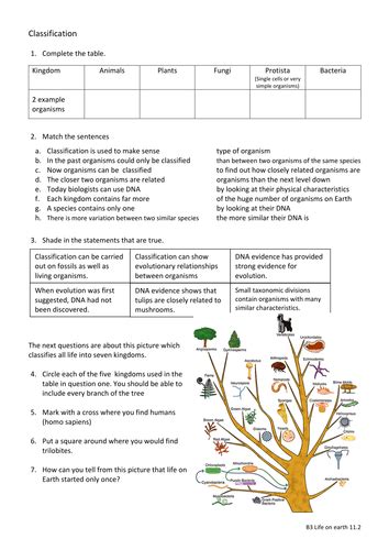 Image result for Classification Worksheet TES KS2