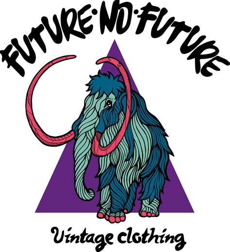 Future 的图像结果