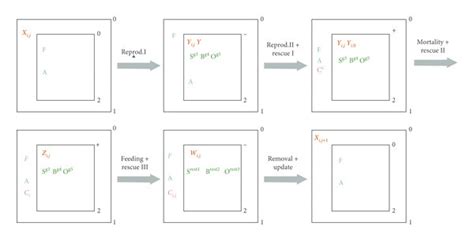 Evolution Simulation Process 的图像结果