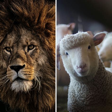 Traits of Leaders Found in Jesus Christ - Intercession For A Generation Blog