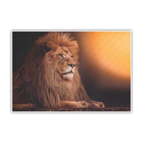 Anne Print Solutions® Lion Animal Poster (Without Frame) for Wall ...