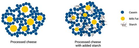 Influence of Starch on the Rheological, Textural, and Microstructural ...
