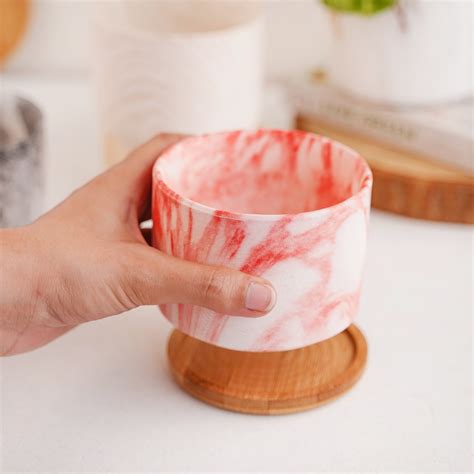 Succulent Plant Pot Online - Premium Planter | Nestasia