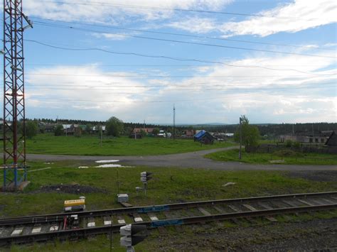 Image result for VIP Biser Tutorials for Beginners