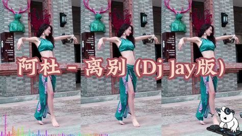 【DJ舞曲】阿杜 - 离别 （Dj Jay版）-音乐视频-搜狐视频