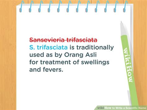 Image result for Scientific Name Example