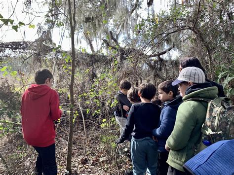 Image result for Project Learning Tree Activities