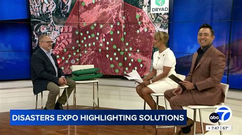 Image result for Dryad Programming