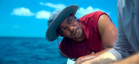 9 Best Shark Movies on Hulu Right Now