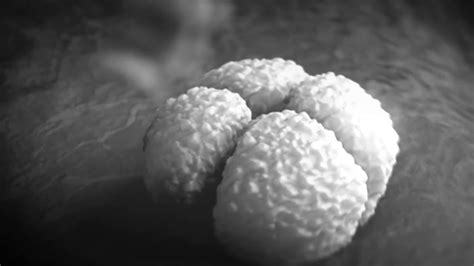 Image result for Download Robpm & T78 Kick Tutorial Files