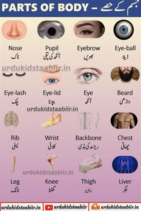 URDUKIDS TAABIIR-LEARNS URDU: Parts of body in urdu