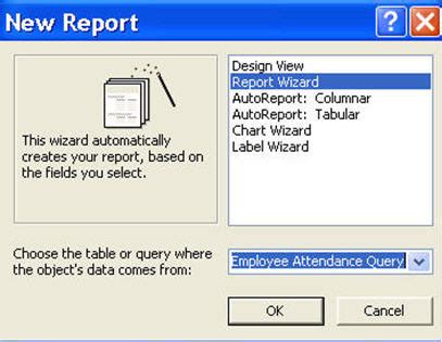 Image result for Access Reports Tutorial
