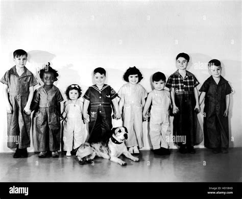 Little Rascals Cast 1930 Buckwheat at Zoe Walker blog