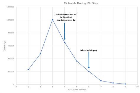 Zurno Plus - Open Access Journals