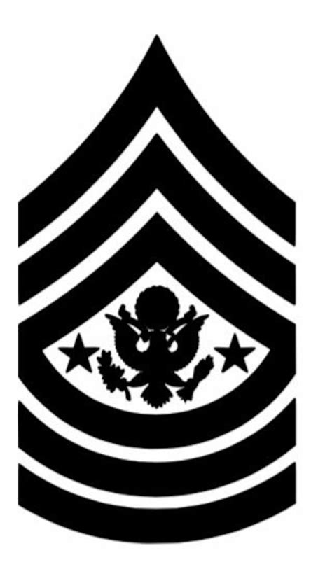 USAFA Cadet Rank Insignia