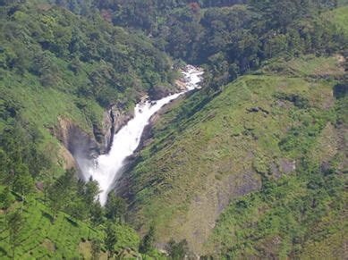 Places to visit in Munnar- Magic Moment Holidays