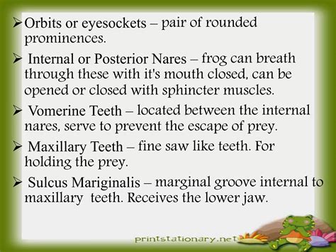 Zoology(External Features of the Frog & Buccal Cavity) | PPTX