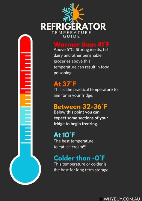 What Temperature Should My Fridge Be? In °F!