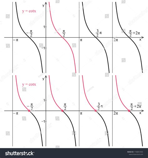 Graph Function Cotangent On White Background Stock Vector (Royalty Free ...