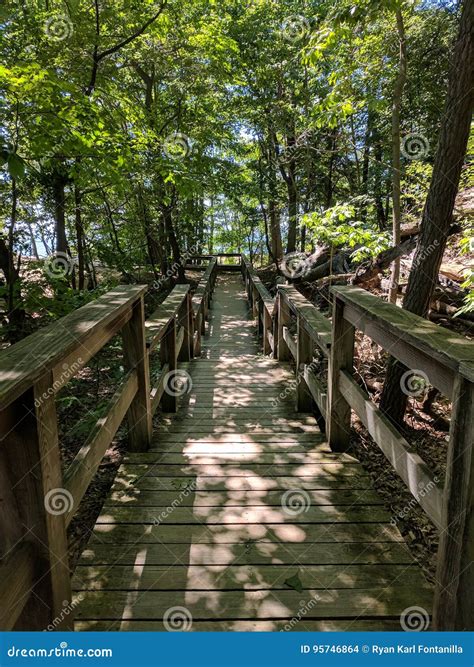 Pj hoffmaster state park stock photo. Image of leading - 95746864