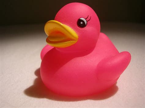 Tine's Rubber Duck Collection: small and pink