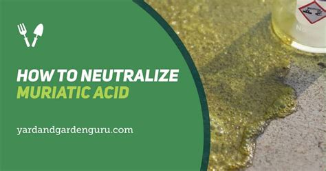 Image result for Neutralize Acids