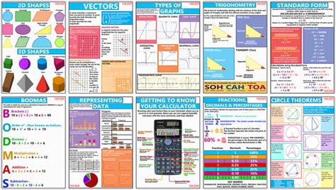 Image result for Classification Poster GCSE