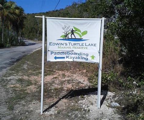 EDWIN'S TURTLE LAKE MARINE RESERVE - All You Need to Know BEFORE You Go ...