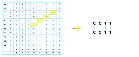 Image result for Local Sequence Alignment