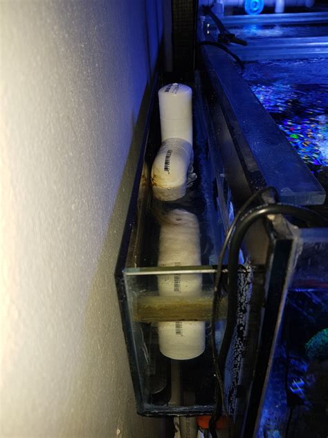 Image result for Reef Overflow Box