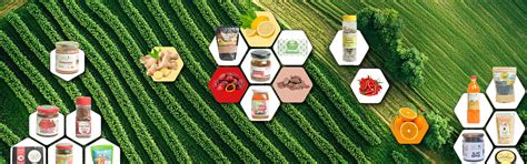 Act East – Organic Farming Products from North East India