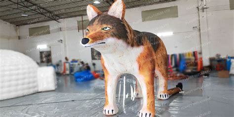 Image result for Inflatable Wolf