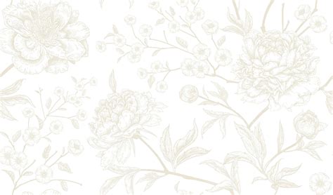 [100+] White Floral Wallpapers | Wallpapers.com