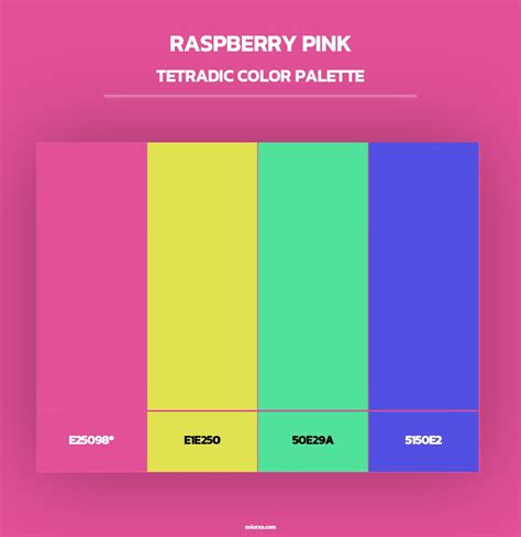 Image result for Raspberry Pink Color