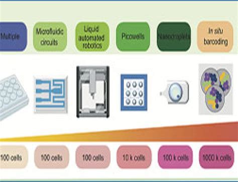 RNA Sequencing Method 的图像结果