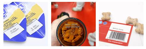 Image result for Batch Code Game