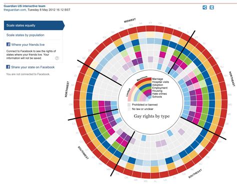 41 Infographic Examples & Explanations