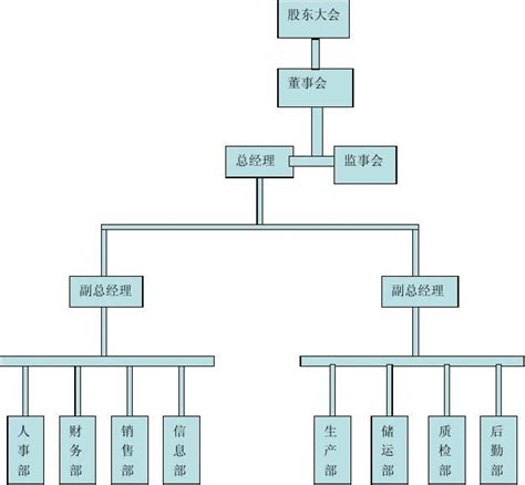 管理学公司的组织结构分析_word文档在线阅读与下载_无忧文档
