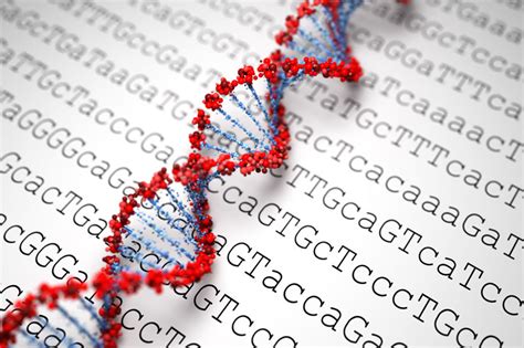DNA Sequencing Technologies 的图像结果