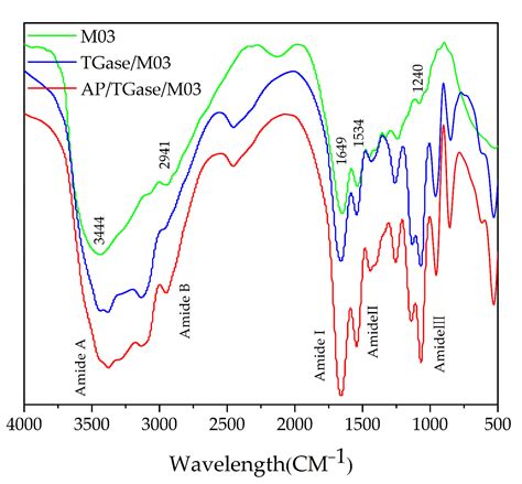 Preparation, Characterization, and Evaluation of Enzyme Co-Modified ...