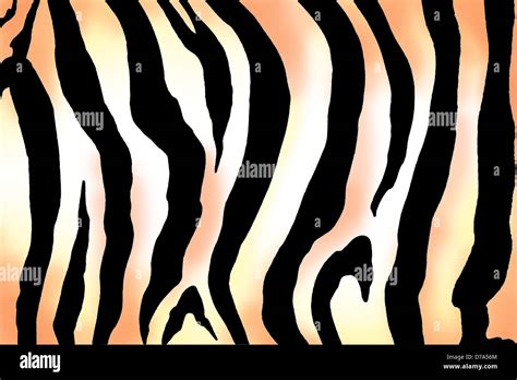 Image result for Zebra Print